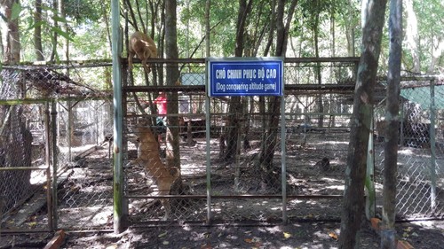 Visitan centro de preservación de crestados de Phu Quoc - ảnh 3