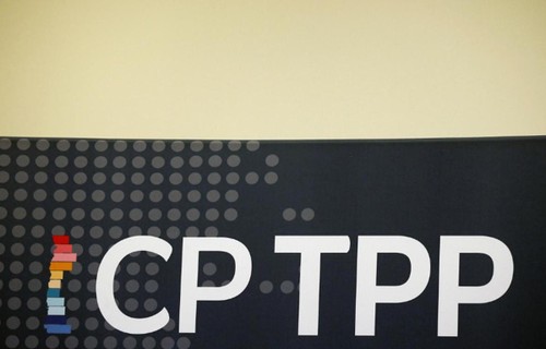 Firmantes del CPTPP coinciden en promover la economía digital en medio del covid-19 - ảnh 1