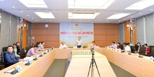 Celebran la 30ª sesión plenaria del Comité Jurídico de la Asamblea Nacional de Vietnam - ảnh 1