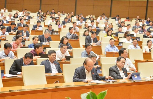 Electorado vietnamita opina sobre las interpelaciones parlamentarias - ảnh 1