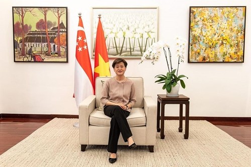 Medio singapurense destaca los éxitos económicos de Vietnam - ảnh 1