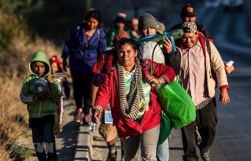 México aumenta las detenciones de migrantes indocumentados - ảnh 1