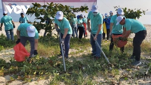 Más de 100 jóvenes de Da Nang limpian la costa local - ảnh 1