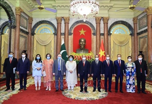 Presidente vietnamita recibe a nuevos embajadores de Argentina, Nueva Zelanda, Pakistán y Rumania - ảnh 1