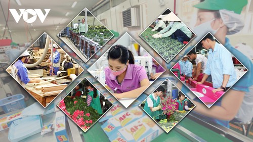 Covid-19 y las perspectivas de la economía vietnamita para 2021 - ảnh 1