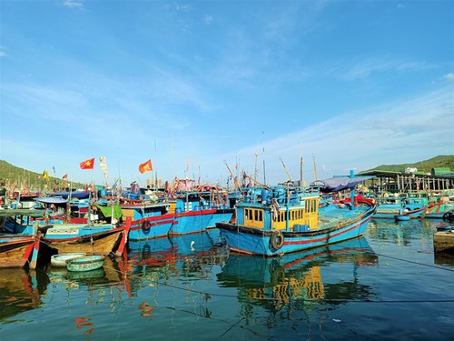 Reanudan actividades en puerto pesquero sureño de Nha Trang - ảnh 1