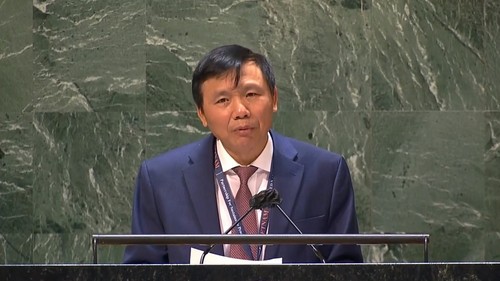 Vietnam apoya la reforma del Consejo de Seguridad de la ONU - ảnh 1