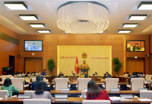 Asamblea Nacional de Vietnam debate políticas específicas en lucha contra el covid-19 - ảnh 1