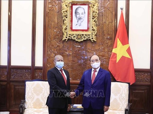 Presidente de Vietnam recibe al saliente embajador sudafricano - ảnh 1