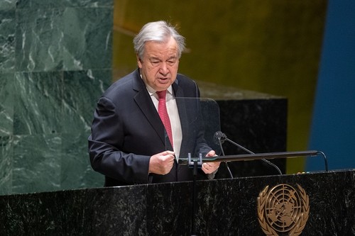 Antonio Guterres rechaza el arresto de personal de la ONU en República Centroafricana - ảnh 1