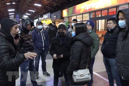Más de 800 vietnamitas en Ucrania evacúan a Rumania - ảnh 1