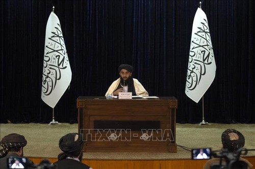ONU establece una relación oficial con los talibanes - ảnh 1