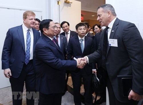 Vietnam y Estados Unidos tienen gran potencial de cooperación económica y comercial - ảnh 1