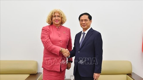 Vietnam y Venezuela promueven la cooperación bilateral - ảnh 1