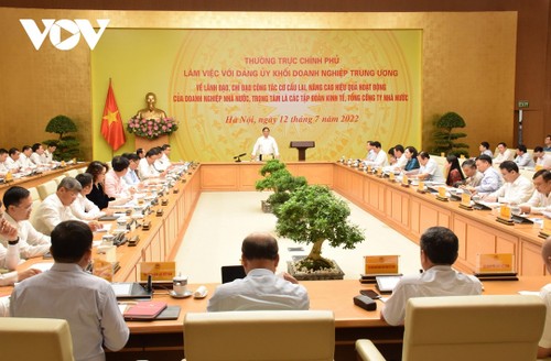 Premier vietnamita urge mayor contribución de las empresas estatales a la economía nacional - ảnh 1