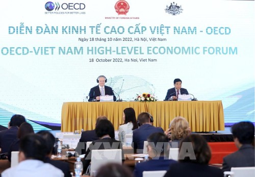 Celebran Foro Económico de Alto Nivel Vietnam-OCDE - ảnh 1