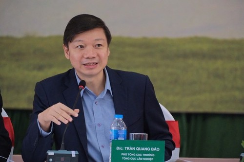 Experto nacional aboga por desarrollo del mercado de carbono en Vietnam - ảnh 1