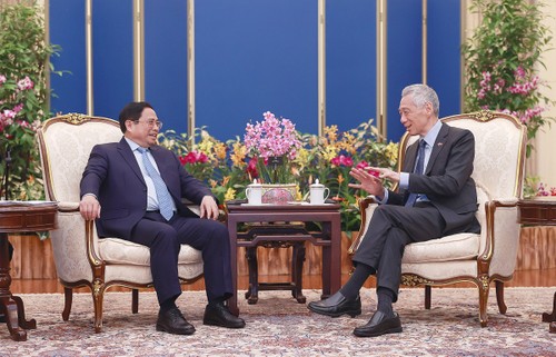 Primeros ministros de Vietnam y Singapur dialogan sobre relaciones bilaterales - ảnh 1