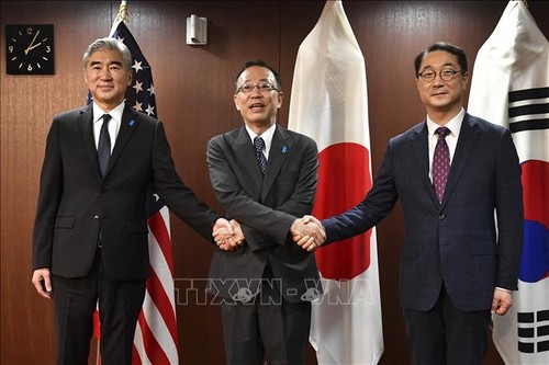 Corea del Sur, Estados Unidos y Japón se comprometen a estrechar la cooperación respecto a Corea del Norte - ảnh 1