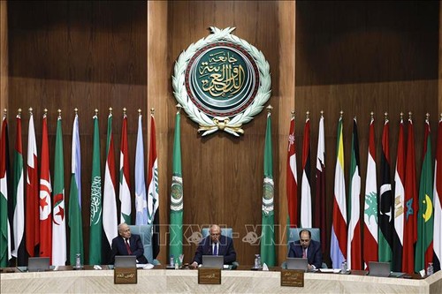 Liga Árabe restaura la membresía de Siria - ảnh 1