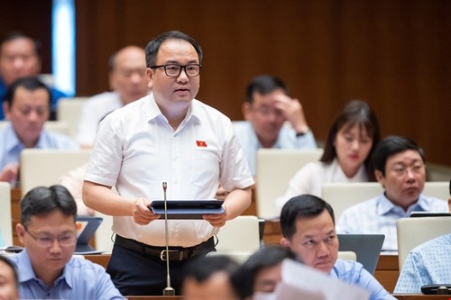 Diputados vietnamitas debaten borrador de la Ley de Transformación de Género - ảnh 1
