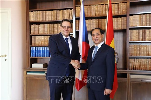 Canciller vietnamita realiza visita oficial a República Checa - ảnh 1