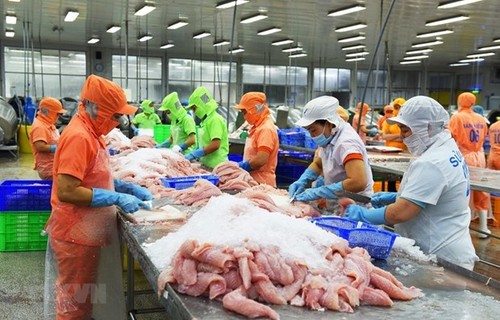 México, octavo mayor importador de atún de Vietnam - ảnh 1