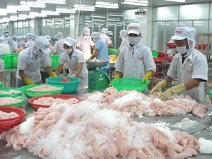 Senadores estadounidenses protestan supervisión de filetes de pescado de Vietnam - ảnh 1