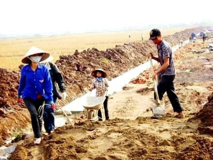 Comuna de Quynh Minh, Thái Binh construye nuevo campo - ảnh 2