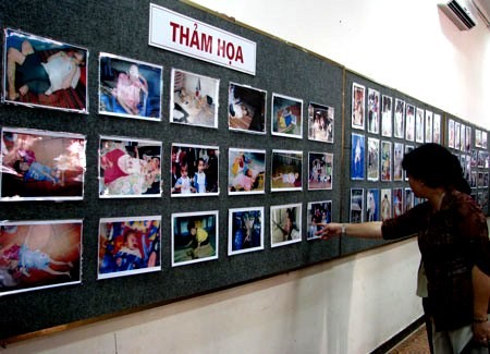 Exposición fotográfica sobre el desastre del agente naranja/dioxina en Vietnam - ảnh 1