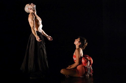 Israeli contemporary dance – ArtLana duo - ảnh 1