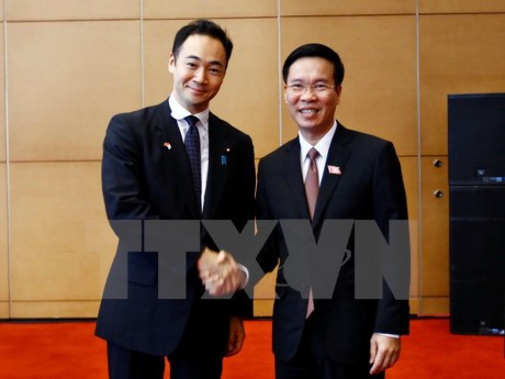 Party’s senior official receives Japan’s LDP delegation - ảnh 1
