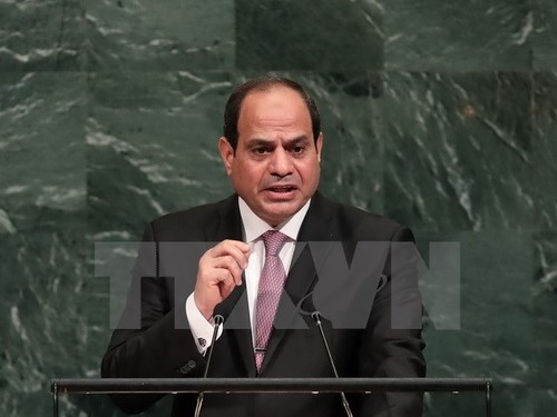 Egypt tries to promote Middle East peace process - ảnh 1
