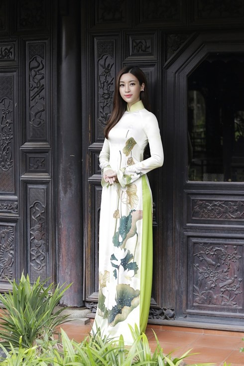 Ho Chi Minh City to host Ao Dai Festival in March  - ảnh 1