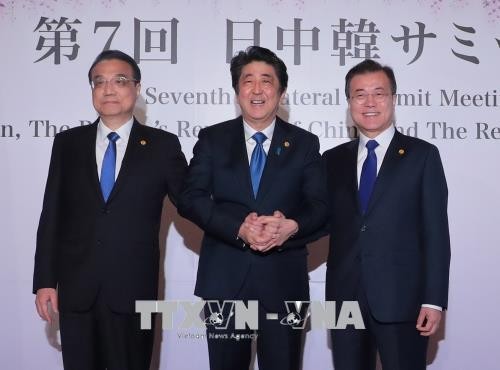 China, Japan, South Korea pledge joint effort on North Korea issue - ảnh 1