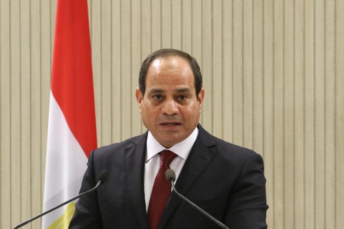 Egypt pledges continued efforts to end Syria crisis  - ảnh 1