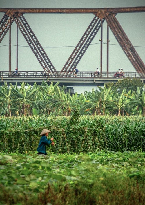 Hanoi through the eyes of an English photographer - ảnh 9