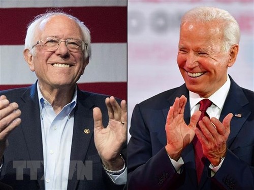 New York cancels Democratic presidential primary - ảnh 1