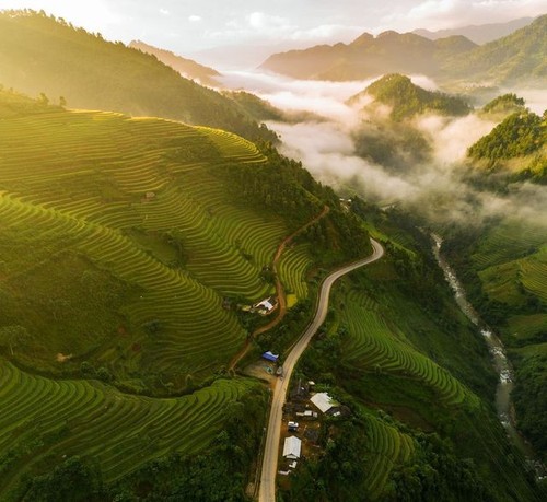 베트남 사진작가 응우옌 옥 티엔 (Nguyễn Ngọc Thiện)의 작품, National Geographic에  최고 사진 명단에 선정 - ảnh 1