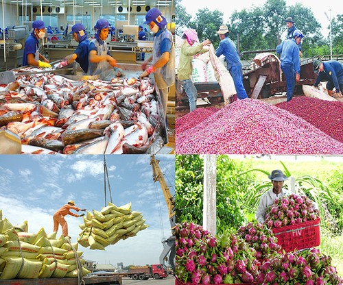 EVFTA – 베트남의 기업 관리 제고 및 농산물 수출 촉진 기회 - ảnh 1