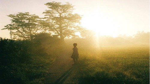 타이 빈 : 소박하고 평화로운 시골 마을 - ảnh 3