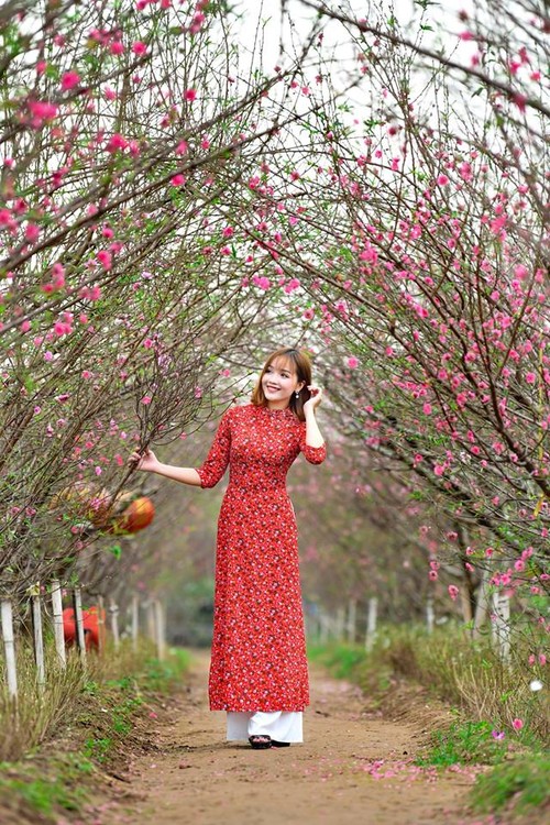 봄을 맞이하는 하노이 꽃 마을  - ảnh 3