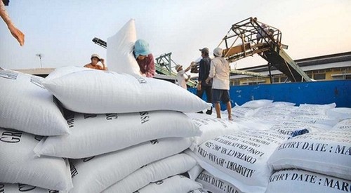 베트남, 한국 시장에 쌀 수출 기회 - ảnh 1