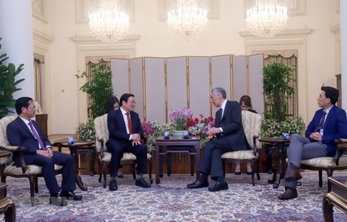 싱가포르, 베트남과의 다방면 협력 관계 촉진 희망 - ảnh 1