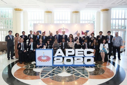 1차 APEC 고위급회의  - ảnh 1