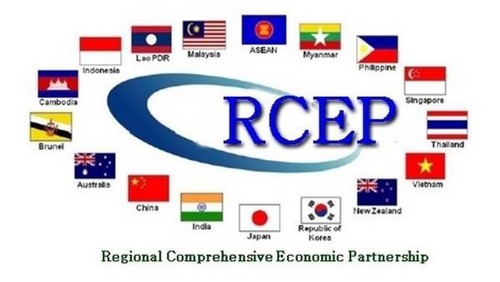 RCEP협정에 대한  우위 산업 가치 발휘 - ảnh 1