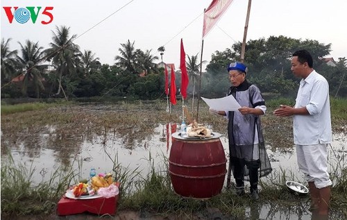 La fête rizicole estivale de Quang Yên - ảnh 2