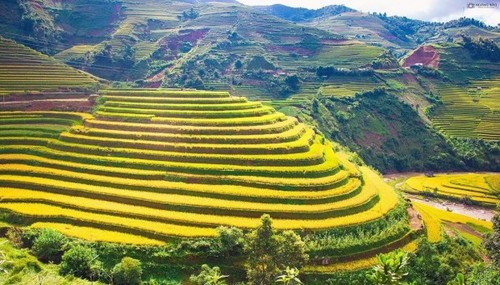 À la découverte des rizières en terrasse de Mù Cang Chai - ảnh 2