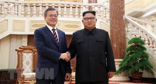 La déclaration de Pyongyang approuvée au conseil des ministres sud-coréens - ảnh 1