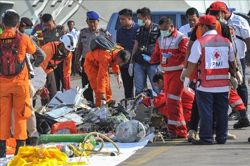 Accident d’avion en Indonésie : Message de condoléances du Vietnam - ảnh 1